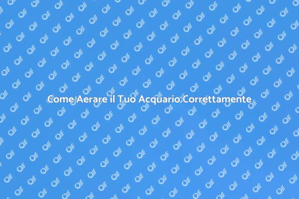 Importanza dell'Aerazione nell'Acquario