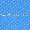 Assistenza Professionale in Scienze Letterarie