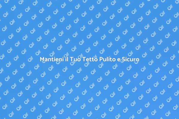 Rimozione Detriti per un Tetto Sano