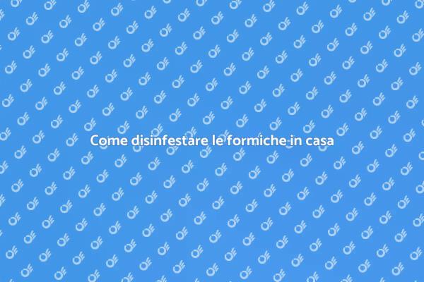 Disinfestazione professionale formiche