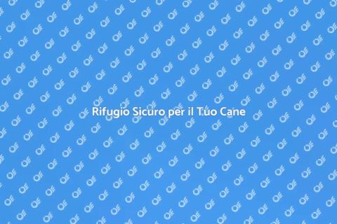 Pensione per Cani: Sicurezza e Comfort