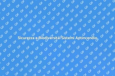 Manutenzione Sistemi Antincendio