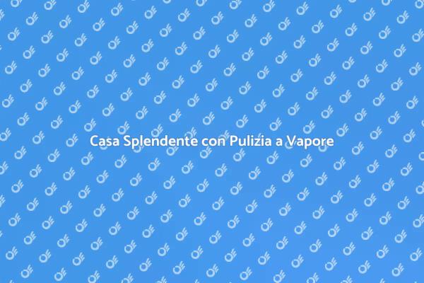 Efficacia della Pulizia a Vapore