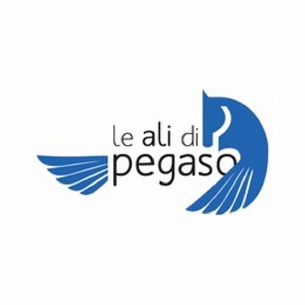 Le Ali Di Pegaso  - Foto 1