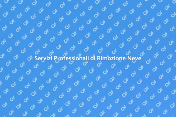 Rimozione Neve: Proteggi la Tua Casa