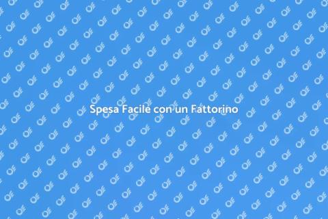 Fattorino per la Spesa: Comodità Assicurata