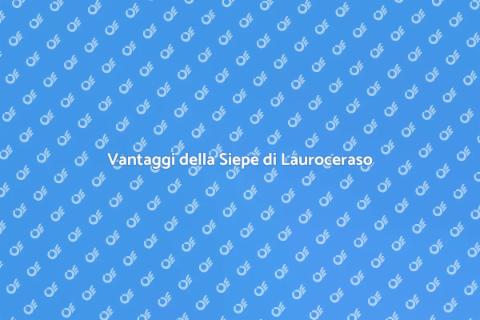 Siepe di Lauroceraso: Vantaggi e Bellezza