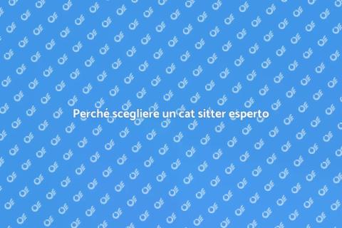 Cat sitter per gatti: perché sceglierlo