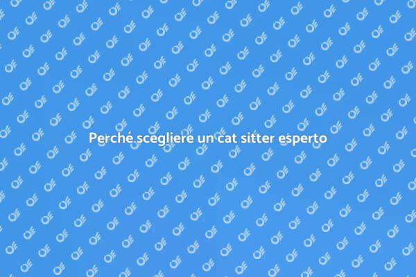 Importanza del cat sitter per gatti