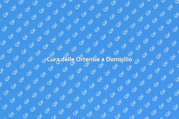 Trasforma il Tuo Giardino con Ortensie