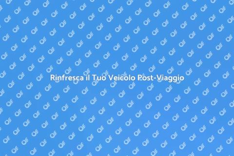 Pulizia Veicolo Dopo un Lungo Viaggio