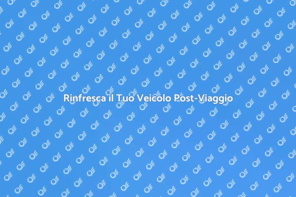 Come Pulire il Veicolo Dopo un Viaggio