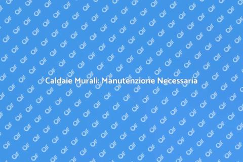 Manutenzione Caldaie Murali Essenziale