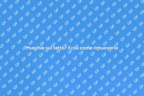 Rimozione muschio tetto: guida utile