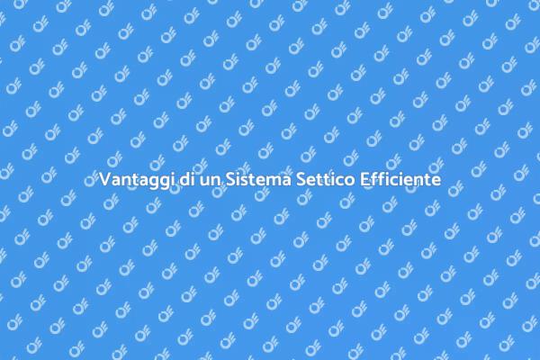 Importanza di un Sistema Settico Sostenibile