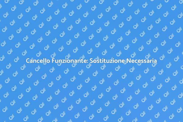 Rendi Sicuro il Tuo Cancello Oggi
