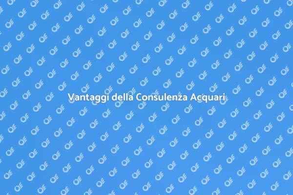 Ottimizza il Tuo Acquario con Esperti