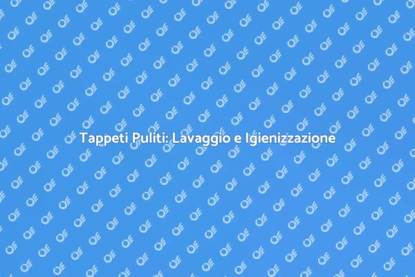 Trasforma i Tuoi Tappeti con Igienizzazione