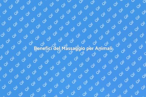 Massaggiatore Professionale per Animali