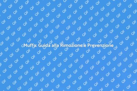 Rimozione e Prevenzione Muffa