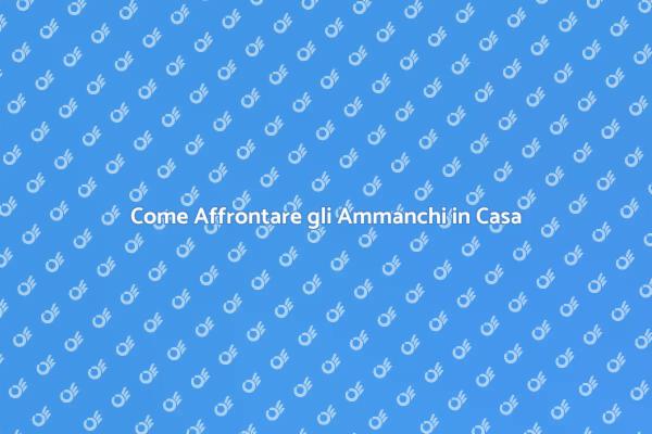 Ammanchi: Soluzioni per Proprietari