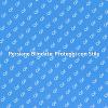 Sicurezza e Stile con Persiane Blindate