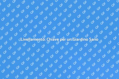 Livellamento Terreno: Guida Essenziale