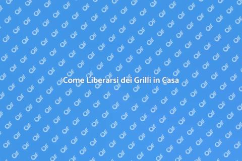 Sterminare i Grilli in Casa Facilmente