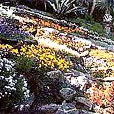 Vivai Piante e Fiori Vita Stefano