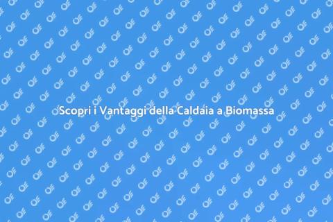 Caldaia a Biomassa: Efficienza e Sostenibilità