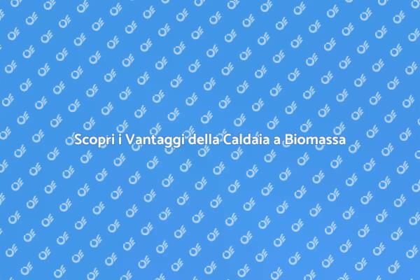 Riscaldamento Sostenibile con Biomassa