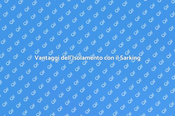 I Vantaggi dell'Isolamento con il Sarking