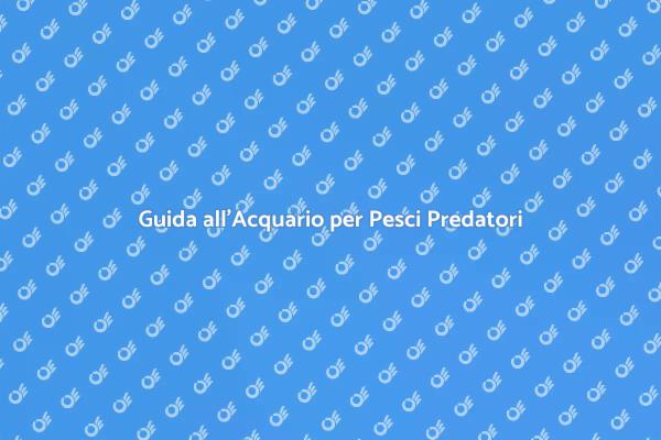 L'Acquario Ideale per Pesci Predatori