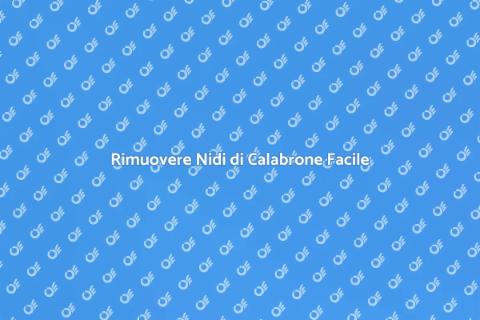 Rimozione Nidi di Calabrone Sicura
