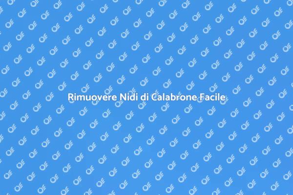 Sicurezza dalla Rimozione dei Nidi di Calabrone