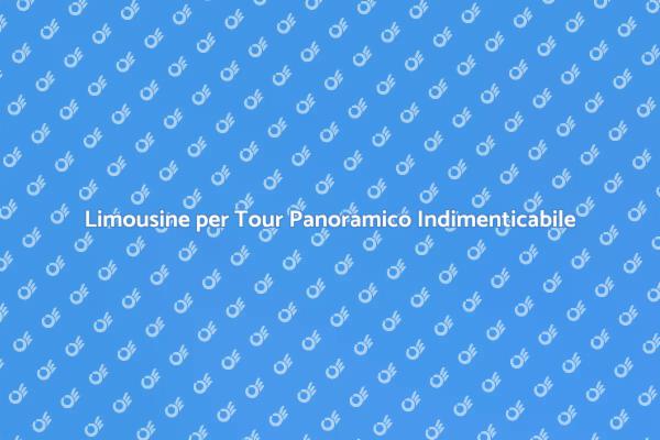 Tour Panoramico in Limousine: Scopri di Più