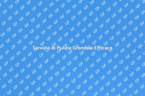 Pulizia Grondaie: Servizio Professionale