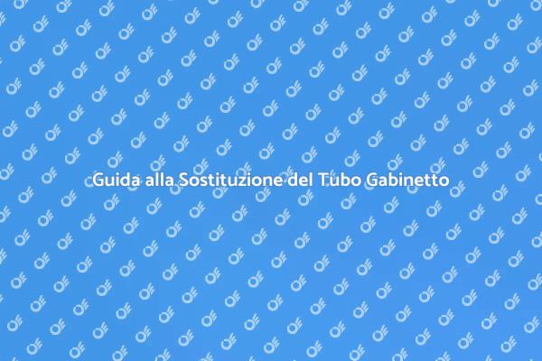 Come Sostituire il Tubo del Gabinetto