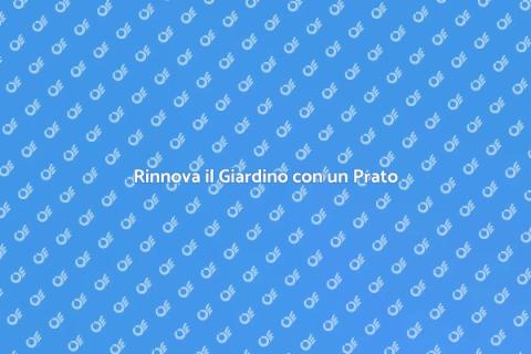 Giardiniere per Installare il Prato