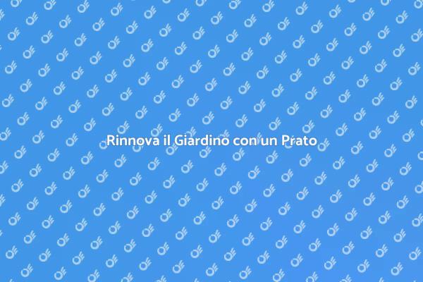 Prato Perfetto con un Giardiniere Esperto