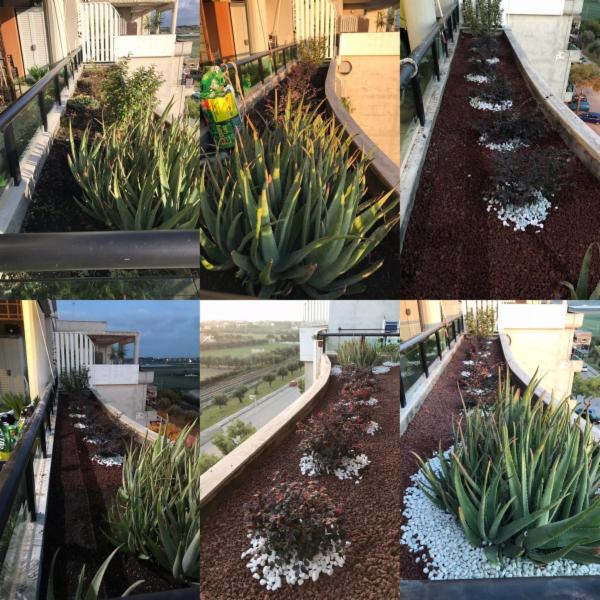 Nico garden and pallet - Foto 3