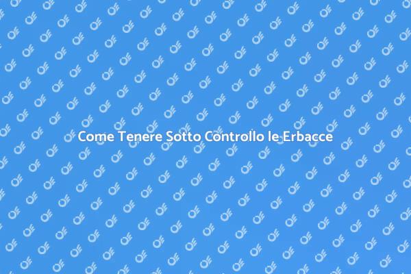 Giardino Fiorente: Dì Addio alle Erbacce