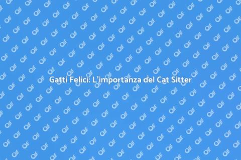 Cat Sitter per Gatti: Routine Essenziali