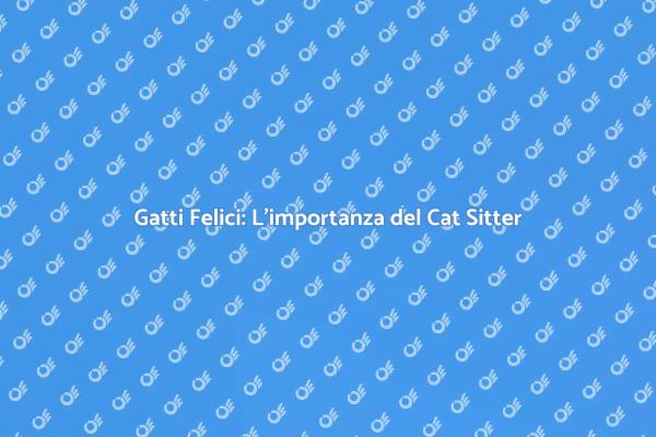 Come Scegliere un Cat Sitter Esperto