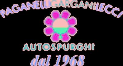 Autospurgo Paganelli - Gargani - Lecci Sas  - Foto 1