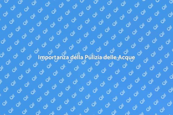 Pulizia delle Acque Reflue e Sostenibilità
