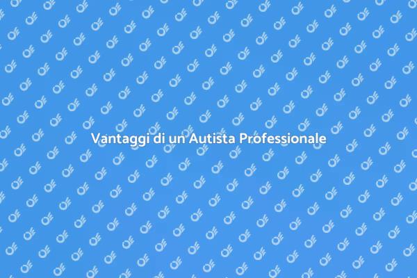 Mobilità Senza Stress con un Autista