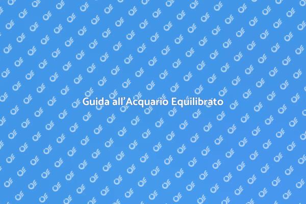 Creare un Acquario Perfetto