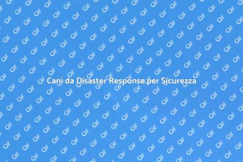Allenamento Cani da Disaster Response