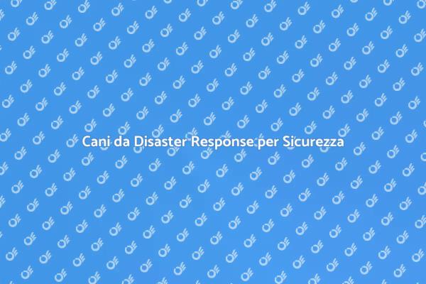 Cani e Umani: un Team di Emergenza